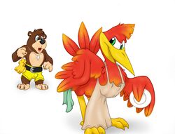 1boy 1girls anthro banjo banjo-kazooie banjo_(banjo-kazooie) bear blue_eyes breegull brown_fur color female furry green_eyes interspecies kazooie male necklace orange_feathers rareware shorts simple_background straight tooth_necklace