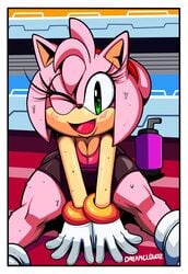 amy_rose bike_shorts blush breasts cleavage clothed clothing cloudz exercise female fur furry furry_only green_eyes hedgehog hi_res mammal one_eye_closed pink_hair sonic_(series) sportswear superbunnygt sweat teasing thick_thighs workout