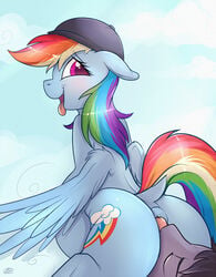 ambiguous_gender anal blush candyclops duo equine female friendship_is_magic hat licking mammal meggchan my_little_pony oral pegasus rainbow_dash_(mlp) rimming sex straight_hair tongue tongue_out wings