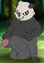 anthro balls bear big_balls big_penis bodily_fluids camp14 dominant dominant_male foreskin forest forest_background generation_6_pokemon genital_fluids genitals giant_panda hi_res huge_balls huge_cock humanoid_genitalia humanoid_penis hyper hyper_balls hyper_genitalia hyper_penis looking_at_viewer male mammal nature nature_background nintendo pancham penis plant pokemon pokemon_(species) precum slightly_chubby smug solo tree