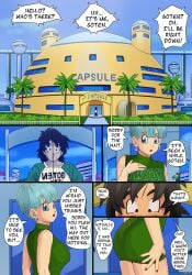 bulma briefs from dragon ball by nearphotison