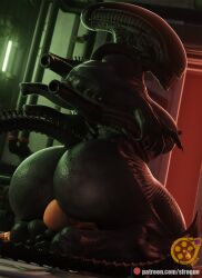 alien alien_(franchise) alien_girl alien_humanoid big_ass bubble_ass bubble_butt dat_ass facesitting female_xenomorph girl_on_top huge_ass sfrogue xenomorph