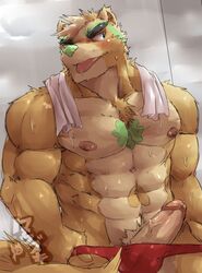 barazoku blush clothing erection kemono male male_only mammal muscular penis raccoon shower tamazukiakiyama thong zigzagg