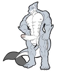 anthro croiyan erection full-length_portrait full_length humanoid_penis looking_at_viewer male_only muscular nude penis portrait shark solo standing