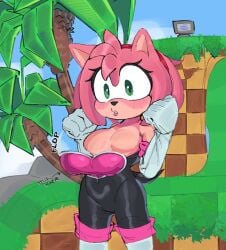 1girls amy_rose amy_the_bat breasts female female_focus female_only green_eyes looking_at_viewer magnetstuff medium_breasts pink_fur pink_hair rouge_the_bat_(cosplay) solo solo_female solo_focus sonic_(series) sonic_the_hedgehog_(series)