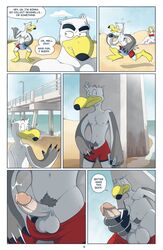 anthro anti_dev avian ayden_(brogulls) bailey_(brogulls) balls beach bird comic humanoid_penis male male_only masturbation page_4 page_number penis seagull seaside