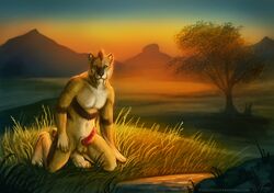 1boy 2015 anthro balls barbs brown_eyes brown_fur brown_stripes canimus feline fur furry furry_only grass kneeling landscape looking_at_viewer male male_only mammal mohawk mountain naira nude outside penis saber-toothed_cat scenery solo sunset tree water white_fur