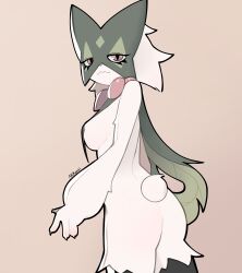generation 9 pokemon from nintendo by akikonii