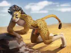 anthro athletic athletic_anthro athletic_male black_body black_fur black_hair cheetah digitigrade felid feline fur furnedon genitals hair humanoid_genitalia humanoid_penis kneeling looking_at_viewer male mammal markings muscular muscular_anthro muscular_male nude_anthro nude_male penis rock sky smile solo spots spotted_body spotted_fur white_body white_fur yellow_body yellow_fur