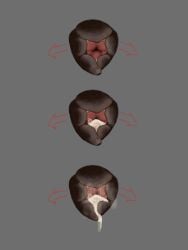 animal_genitalia animal_pussy bodily_fluids bubble canid canine canine_genitalia canine_pussy cum cum_bubble cum_drip cum_in_pussy cum_inside cum_string dripping female feral fifity genital_fluids genitals leaking_cum mammal multiple_poses pose pussy zero_pictured