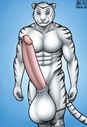 2015 abs anthro aolun balls big_balls blue_eyes erection feline fur furry furry_only humanoid_penis hyper hyper_penis male male_only mammal markings muscular nude penis pink_penis sheath solo stripes tiger white_fur white_tiger