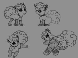 alolan_form alolan_vulpix animal_genitalia animal_penis balls black_markings canid canine clothing collar collar_ring feral footwear fur generation_7_pokemon genitals hi_res jewelry maker male mammal markings monochrome necklace nintendo paws penis pierci piercing piercing_fetish pokemon pokemon_(species) regional_form_(pokemon) reizo666 simple_background smile socks solo striped_markings stripes tail