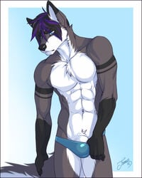 abs biceps black_nose canine chest_tuft clothing feralise fur furry furry_only male male_only mammal muscular pecs tuft underwear wolf