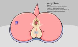 amy_rose anus ass clitoris cum female fur gaping gaping_anus hedgehog lagomorph lil_scooter56 mammal pink_fur presenting presenting_pussy pussy solo sonic_(series) tattoo through_wall video_games