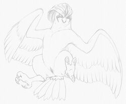 2015 animal_genitalia anus ass avian beak bird claws female feral looking_at_viewer monochrome nintendo nude pencil_(artwork) pidgeotto pokémon_(species) pokemon pussy simple_background sketch solo traditional_media_(artwork) video_games wings yaroul