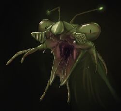 dripping kelenkenwithfangs mantid mantis mawshot saliva