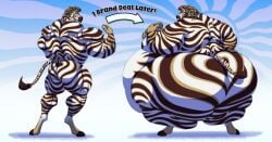 1boy anthro ass belly belly_overhang big_moobs breasts cake fat fit_to_fat furry hips large_ass large_breasts male male_focus male_only moobs muscular muscular_male muscular_thighs nude nude_male overweight overweight_male silver-stag stallion stomach thick_thighs thighs weight_gain wide_hips zebra zebra_cakes zebra_print zebra_stripes