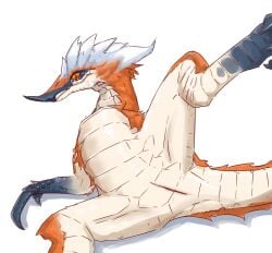 absurd_res bird_wyvern capcom claws dorudodoragon female feral finger_claws fur genitals great_izuchi hi_res looking_at_viewer lying monster_hunter on_back orange_body orange_fur presenting presenting_pussy pussy raised_leg solo