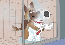 absurd_res anal anthro brian_griffin bullet_(paradise_pd) canid canine duo family_guy genitals hi_res knot knotted_penis magzol male male/male mammal penis shower window