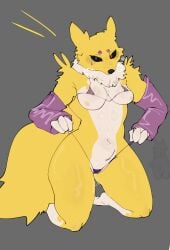 absurd_res anthro bandai_namco digimon digimon_(species) female hi_res renamon solo