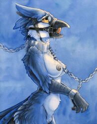 
2015 anthro arms_bound_to_collar avian ball_gag bdsm beak belly biped bird black_beak black_body black_feathers blue_background blue_body blue_feathers blue_jay blue_jay_(ruaidri) bodily_fluids bound breasts chain collar corvid countershade_face countershade_torso countershading drooling eyelashes feathers female gag gagged grey_nipples handcuffs harness harness_ball_gag harness_gag jay_(bird) looking_up medium_breasts multicolored_body multicolored_feathers muzzle_(object) new_world_jay nipples non-mammal_breasts nude open_mouth oscine painting_(artwork) passerine ruaidri saliva shackles side_view simple_background slave solo standing submissive submissive_female tail_feathers tongue traditional_media_(artwork) watercolor_(artwork) white_belly white_body white_countershading white_feathers yellow_eyes