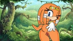 1girls artstyle_imitation ass astroboy84 blue_eyes bottomless clothed clothing female female_only fur half-dressed orange_fur presenting presenting_pussy pussy solo solo_female sonic_(series) sonic_adventure tikal_the_echidna uekawa_style