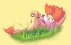 2015 anus bound canine female fennekin feral grass hindpaw legs_up lying mammal nintendo on_back open_mouth pawpads paws pokemon pokemon_(species) pussy raxmon rope side_view simple_background solo video_games yellow_background