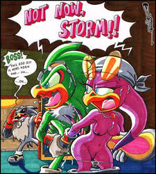 angry anthro anthro_on_anthro anthro_only avian balls beak bird breasts caught clothed clothing english_text escopeto eyewear female fur furry furry_only gloves goggles green_body grey_body half-dressed hover_board hoverboard jet_the_hawk male navel nipples no_humans nude open_mouth panties penis purple_body pussy sex sonic_(series) sonic_riders storm_the_albatross straight sunglasses sweat text underwear video_games wave_the_swallow