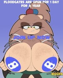 discord freckles huge_breasts ichika_the_porcupine mobian_(species) mocha_draws