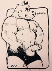 1boy anthro balls blush canine clothing embarrassed erection male male_only mammal monochrome muscular penis shorts simple_background solo white_background wolf wolfyama