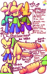 2023 aliasing alpha_channel anthro balls big_balls big_penis bitwily blue_bottomwear blue_clothing blue_pants blue_sweater blue_topwear blush bodily_fluids body_blush bottomwear bottomwear_down clothed clothing digital_media_(artwork) directional_arrow dithering english_text erection facial_tuft featureless_butt foreskin fur gender_symbol genital_fluids genitals glans green_clothing green_sweater green_topwear group holding_penis huge_balls huge_penis hyper hyper_genitalia hyper_penis lagomorph leaking_precum male male_anthro male_symbol mammal model_sheet mouthless outline pants pants_down partially_clothed partially_retracted_foreskin penis penis_blush precum purple_bottomwear purple_clothing purple_pants simple_background sweater symbol tail text topless topless_male topwear transparent_background tuft wily_(bitwily) yellow_balls yellow_body yellow_fur yellow_penis