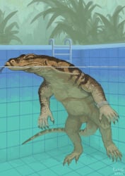 angry anthro boss brown_body clock feral flaccid foreskin genitals hi_res komodo_dragon lizard male monitor_lizard musclegut muscular penis pierog realistic realistic_feral reptile scalie solo swimming_pool tongue tongue_out underwater watch water wristwatch