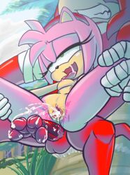 amy rose from sonic (series) by hecticarts