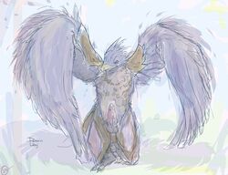 1boy animal_genitalia anthro avian balls beak bird clothing cum erection feathered_wings feathers league_of_legends looking_at_viewer male male_only open_mouth pencil_(artwork) penis scottish_dark_hawk simple_background solo talons traditional_media_(artwork) valor_(league_of_legends) video_games wings