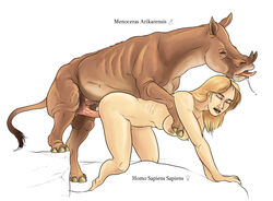 breasts duo extinct female feral hair human human_on_feral interspecies male mammal menoceras nipples open_mouth penis rhinoceros straight teeth text vermilion888 zoophilia