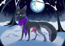 2015 animal_genitalia canine canine_penis feral fox full_moon fur grey_fur heterochromia knot male male_only mammal moon night outside penis purple_markings rukifox satiro scarf solo