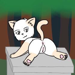 catghost elon_(catghost) feline female mammal pussy
