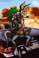 anal canine car coyote cum desert duo francis knot looney_tunes lufeed male mammal penetration penis rat riding rodent size_difference smooth_fur tongue vehicle warner_brothers wile_e._coyote yaoi