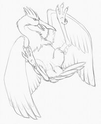 2015 anus avian beak bird fearow feathered_wings feathers female feral lying monochrome nintendo on_back open_mouth pencil_(artwork) pokémon_(species) pokemon pussy realistic_wings simple_background sketch solo spread_legs spread_wings spreading talons tongue traditional_media_(artwork) video_games white_background wings yaroul