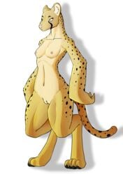 4_toes absurdres acethebigbadwolf breasts cheetah colored digitigrade feline female furry green_eyes highres mammal pussy simple_background standing toes white_background