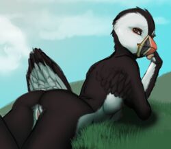 Anthro Rule 34 Image