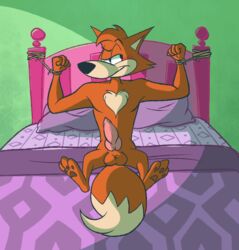 animal_genitalia anthro balls bed blush bondage bound canine canine_penis feet fox humongous_entertainment knot ladysomnambule male male_only mammal paws penis pillow red_fox spy_fox spy_fox_(series)