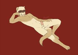 1boy 2015 anthro balls brown_eyes canned_(artist) erection ferret fur half-closed_eyes humanoid_penis looking_at_viewer lying male male_only mammal mustelid navel nude on_back penis pink_nose pinup pose red_background simple_background solo tan_fur whiskers