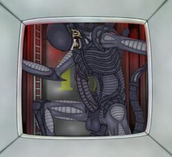 air_vent alien alien_(franchise) balls erection imminent_rape lamar male male_only male_xenomorph penis solo xenomorph