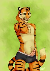 1boy 2015 anthro black_underwear blush briefs canned_(artist) chest_tuft clothed clothing erection feline fur green_background green_eyes half-dressed looking_down male male_only mammal navel penis poking_out simple_background solo standing striped_fur stripes tiger topless tuft underwear whiskers