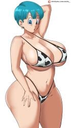 bulma briefs from dragon ball by panarandom