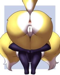renimpmon from bandai namco by furball