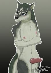 anthro canine_penis embarrassed erect_penis link nipples solo_male the_legend_of_zelda:_twilight_princess theblueorc wolf wolf_link