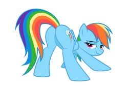 my_little_pony rainbow_dash_(mlp) tagme