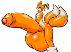 tails the fox from sonic (series) by pumpkybutt